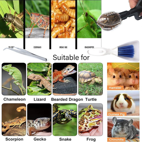 Tiny Cleaning Broom, Scooper Feeding Tool, Mini Dustpan and Brush, Stainless Steel Tweezer for Reptiles
