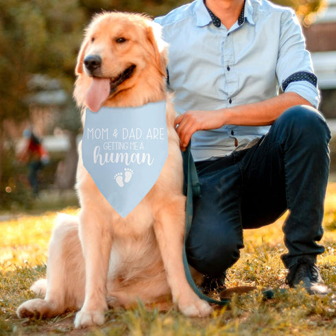 Blue Dog Bandana Baby Announcement Dog Pregnancy Announcement Bandana for Grandparents Pregnancy Gender Reveal Dog