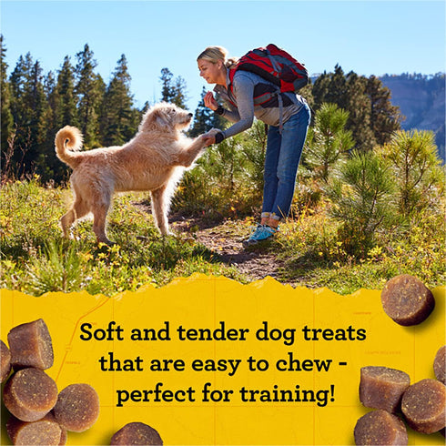Zuke's Mini Naturals Dog Training Treats - Chicken Recipe, Soft & Tender Mini Treats with Vitamins & Minerals, 6 OZ Bag