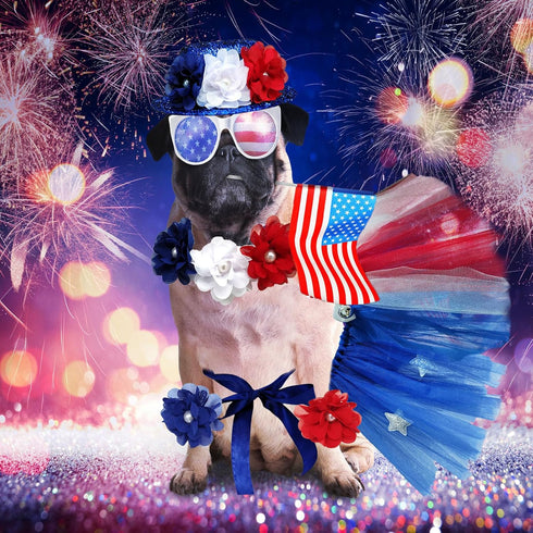 4PCS Pet Independence Day Costume, 4th of July Dog Tulle Dress Collar Flowers, Cute Tutu Skirt USA Patriotic Outfit