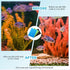 9 17 11 Inch 1/2 1 Inch, Pcs Fish Pond Foam Aquarium Filter Sponge Wave Shape Coarse Foam for Fish Tank Sump Pond x x