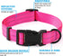 Mile High Life Reflective Dog Collar, Light Weight Nylon Puppy Collars, Solid Pink for Small Dogs (X-Small)