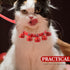 Balacoo Pet Collar and Leash Combo with Jingle Bell Dog Collar and Pulling Leash Rope Strap for Outdoor Use