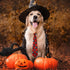 10pcs Skull Large Dog Neck Ties - Handmade Festival Dog Ties for Medium Large Dogs, Holiday Accessories
