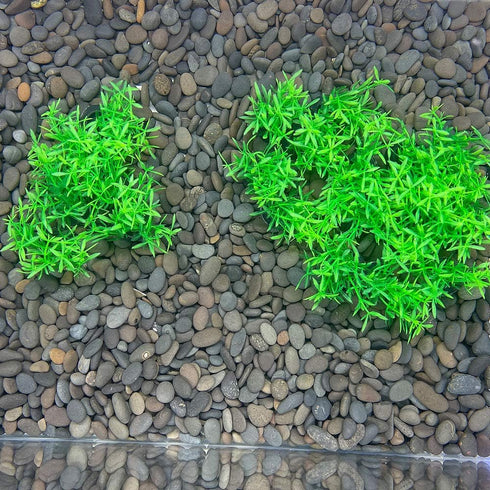 Smoothedo-Pets Aquarium Plant Decoration, 20 Pieces Small/1" Tall Plastic Artificial Plant Goldfish Hidden Mini Grass