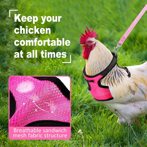 Set Adhafera Chicken Harness with Leash, Upgraded Double Adjustment Chicken Harness and Leash for Hens, Duck, Goose