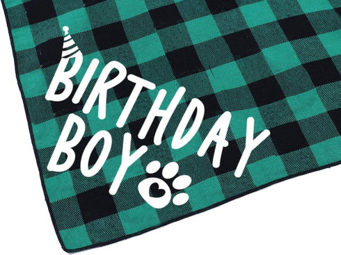 Birthday Boy Dog Bandana in Green