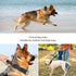 Tactical Dog Collar for Medium and Large Dogs, Adjustable Military Collar with Soft Padded Handle, Heavy Duty Double