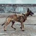 EXCELLENT ELITE SPANKER Tactical Dog Harness, Military Working Vest with Handle, Adjustable Training Vest for Large