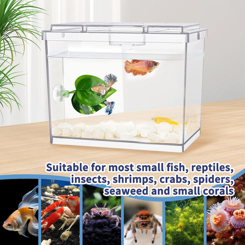 Mini Betta Fish Tank, 0.2 Gallon Stackable Cube Tank with Betta Leaf and Gravels (Pack-1)