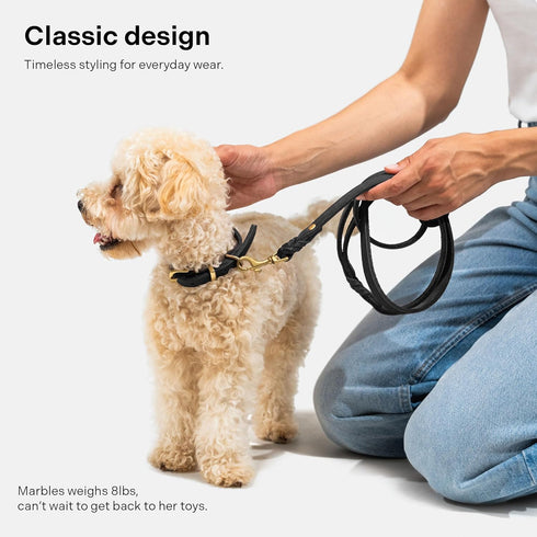 Scout Supply Classic Leather Dog Leash, Strong Heavy Duty Thick Full Grain Leather, Waterproof Brass Hardware