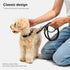 Scout Supply Classic Leather Dog Leash, Strong Heavy Duty Thick Full Grain Leather, Waterproof Brass Hardware