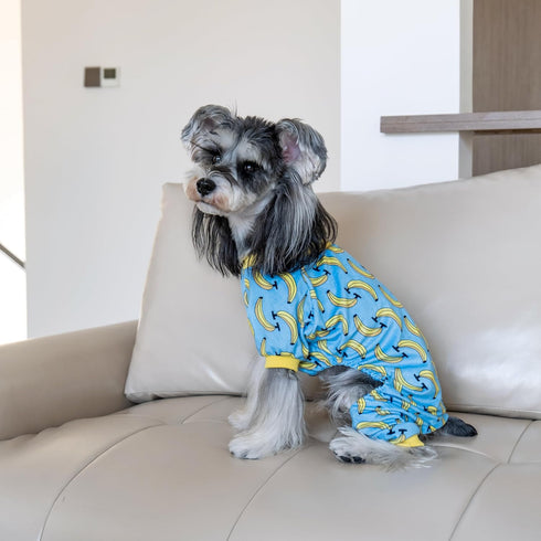 CuteBone Soft & Stretchy Dog Pajamas - Cozy Breathable Jumpsuit for Small Dogs - All-Season Easy-On Pullover Design P06S