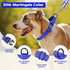 Adjustable Reflective Nylon Martingale Dog Collar, No Pull Choker for Medium Large Dogs, Navy Blue (L)