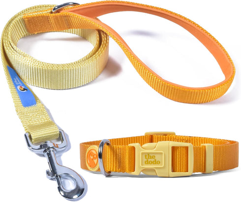 The Dodo All Nylon Yellow Collar and Leash Set, Small, Waterproof Matching Set for Beach Day or Lake Trips