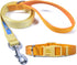 The Dodo All Nylon Yellow Collar and Leash Set, Small, Waterproof Matching Set for Beach Day or Lake Trips