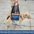Dog Carry Sling, Emergency Backpack for Senior Dogs, Rehabilitation Lift Harness for Joint Injuries (L, Blue)