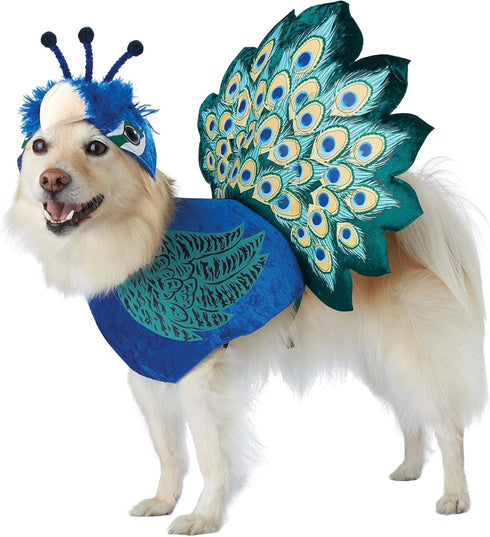 California Costumes Pretty as a Peacock Pet Costume - X-Small