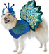 California Costumes Pretty as a Peacock Pet Costume - X-Small