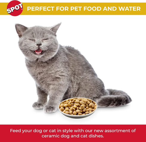 SPOT by Ethical Products - Heavy Ceramic High Gloss Dog Bowl Cat Bowl Durable Dog Food and Water Pet Dish - Dishwasher Safe - BEST FRIENDS OVAL CAT DISH 6"