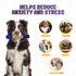Interactive Durable Dog Chew Toys for Aggressive Small Medium Large Dogs - Indestructible Blue & Beige Stick Toy