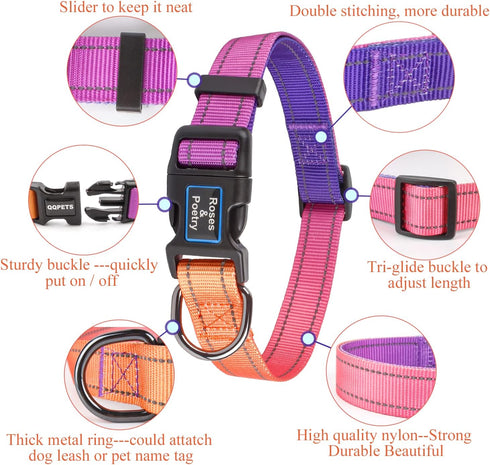 Reflective Dog Collar and Leash Set, Adjustable Purple Martingale Collar and Leash for Medium Dogs, Durable Nylon