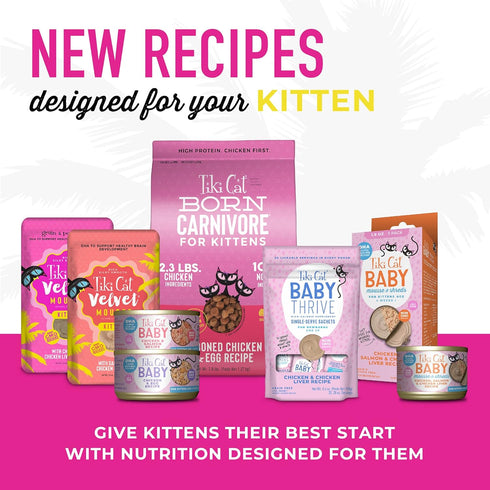 Tiki Cat Baby, Chicken & Egg, High-Protein Wet Cat Food for Kittens 8 Weeks+, 2.4 oz. Cans (Pack of 12)