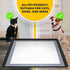 24 24 Skywin TidyFriend Dog Pee Pad Holder Tray - Fits Up to x Pee Pad Holder for Dogs - Stable Grip, Raised Edges