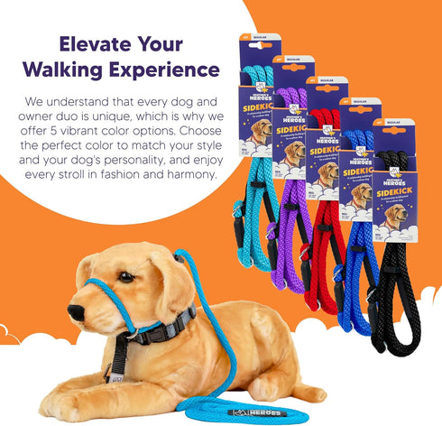 Heather's Heroes Sidekick Dog Headcollar with Leash - Effective Training Tool for Leash Reactivity (Turquoise, Mini
