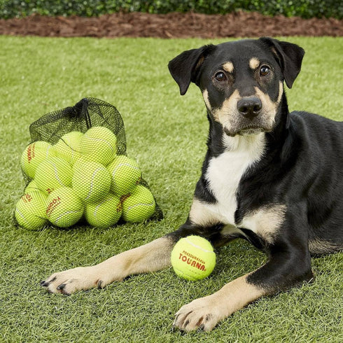 (45 pack Tourna Pressureless Tennis Balls with Vinyl Tote of balls)
