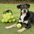(45 pack Tourna Pressureless Tennis Balls with Vinyl Tote of balls)