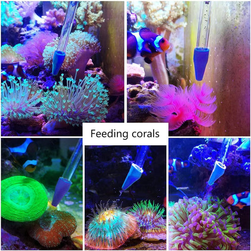 Coral Reef Grabber and Feeder, Aquarium Veggie Feeder and Food Clip, Anti-Rust Kits for Coral Feeding
