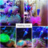 Coral Reef Grabber and Feeder, Aquarium Veggie Feeder and Food Clip, Anti-Rust Kits for Coral Feeding