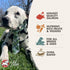 Fromm Four-Star Nutritionals Salmon with Sweet Potato Dog Treats, Premium Oven Baked Snacks, 8 oz