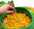 Pet Olfactory Feeding Pad Training Mat - Interactive Puzzle Toy for Dogs & Cats - Natural Foraging Tool - Spring