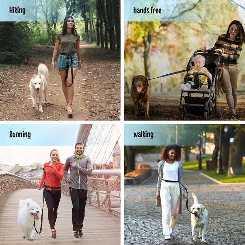 The Buddy System Adjustable Hands-Free Dog Leash for Running and Training Service Dogs, USA Made, Large Belt