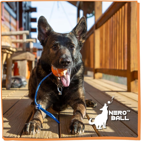 K-9 K-9 The Nero Ball Classic TM - Ball On a Rope Reward and Exercise Toy - Police - Schutzhund