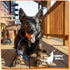 K-9 K-9 The Nero Ball Classic TM - Ball On a Rope Reward and Exercise Toy - Police - Schutzhund