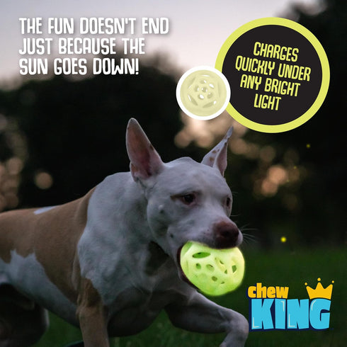 Chew King Glowing Fetch Ball, Large Dog Ball Toys, 2-Pack Lattice