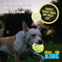 Chew King Glowing Fetch Ball, Large Dog Ball Toys, 2-Pack Lattice