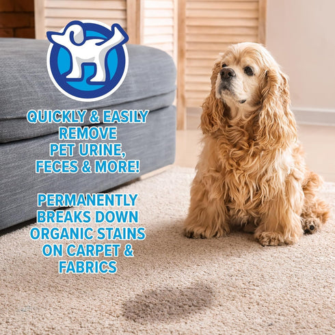 peepatrol Pet Stain + Odor Eliminator, 32 oz Spray Bottle, Professional Strength Formula for Biological Messes on Fabric