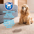 peepatrol Pet Stain + Odor Eliminator, 32 oz Spray Bottle, Professional Strength Formula for Biological Messes on Fabric