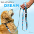 Premium Nylon Pet Leash with Soft Neoprene Handle, ShawnCo Dream Walk Dog Leash (Pacific Blue, Medium/Large)