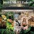 4W T5 6.5" 10.0 Reptile HO UVB Light Fixture with Tube, Dedicated UVB Spot Hood for Terrariums, Suitable for Desert