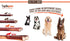 6 Inch 25 Pack FOODIEPAWS Thin Bully Sticks for Dogs, Bulk | All Natural, Grass-Fed Beef | High Protein, Rawhide-Free