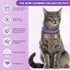 Weewooday 5 Set Calming Collar for Cats, Adjustable Waterproof Collars to Reduce Anxiety with 5 Pet ID Pendants (Purple)