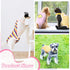 Nuanchu 3 Pcs Female Dog Diaper Sanitary Panties with Adjustable Suspender, Washable Reusable for Dogs in Heat