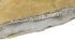 Furhaven ThermaNAP Self-Warming Cat Bed for Indoor Cats & Small Dogs, Washable, Reflects Body Heat - Gray, Small