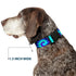 Buckle-Down Plastic Clip Collar, Tie Dye Swirl Purples/Blues, 1" Wide, Fits 15-26" Neck
