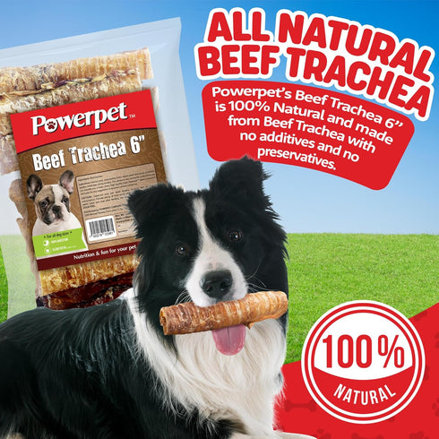 Beef Trachea Dog Chew - 100% All Natural & Highly Digestible - Low Fat, Protein-Rich Treat - Ideal for All Breed Sizes - Healthy, Tasty, and Long-Lasting - for Teeth and Gum Health - 6 Inches